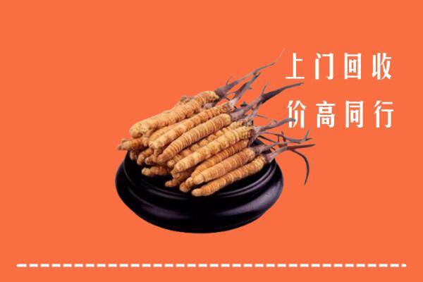 附近收购：威信县冬虫夏草回收多少钱每克